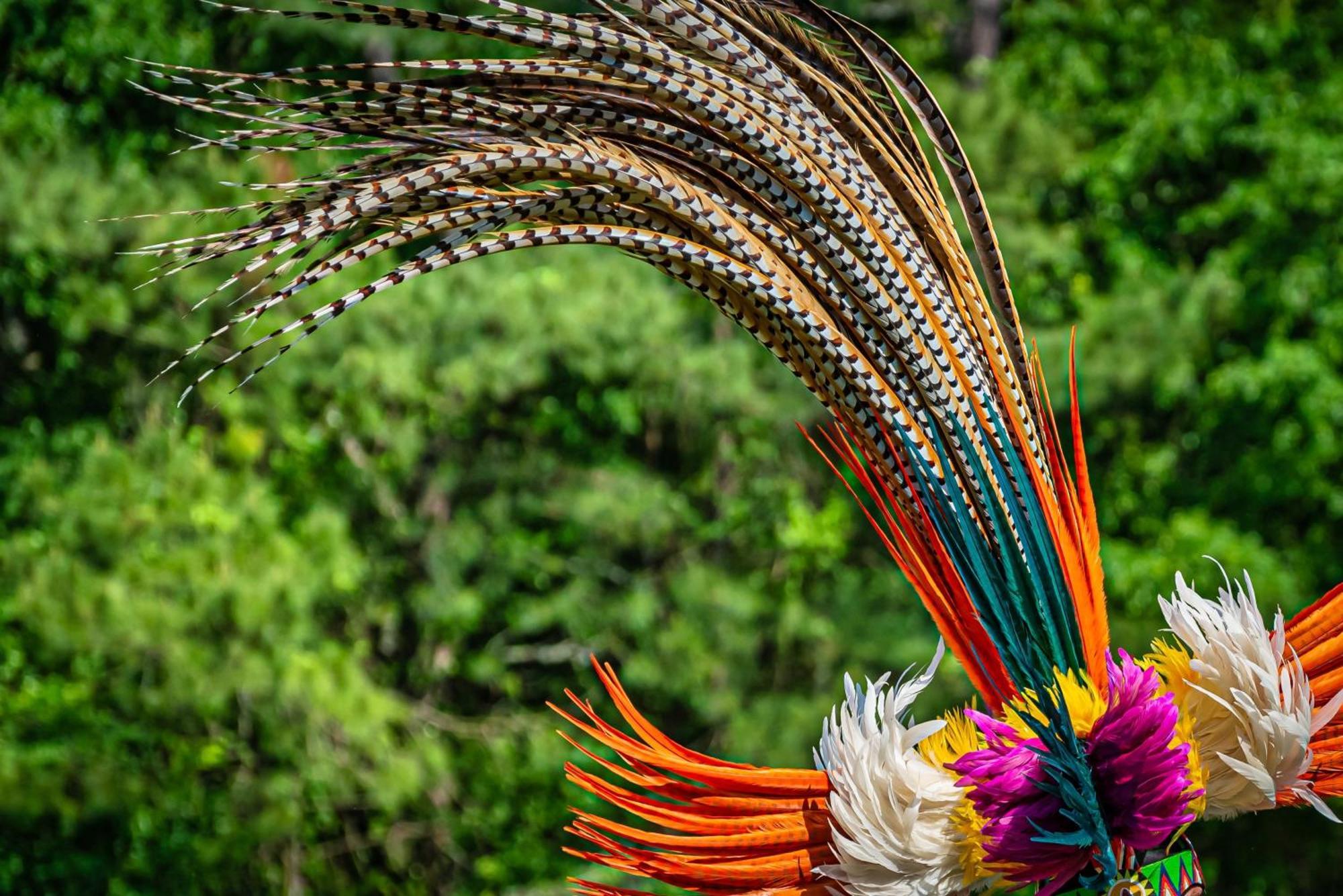 Caiman Lodge - Cuyabeno Nature Amazon Tour Buitenkant foto
